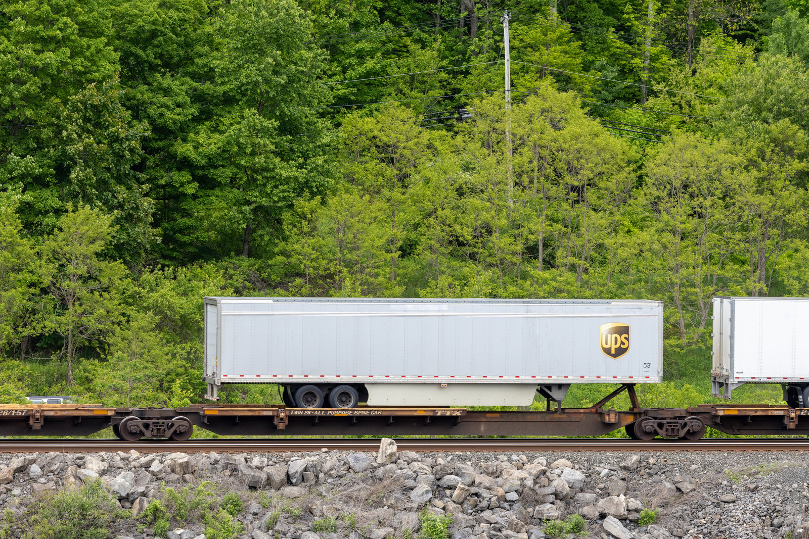 TTRX 371142C