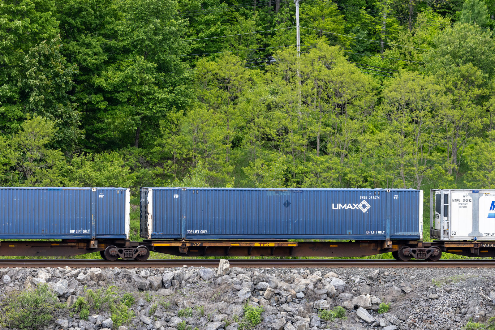 TTAX 653685C