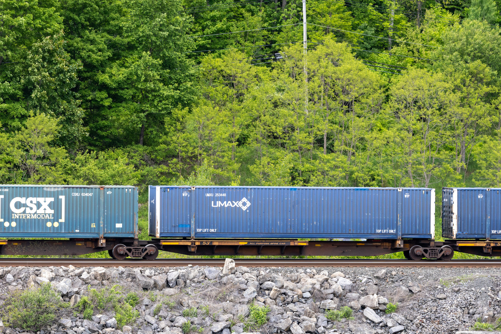 TTAX 653685D