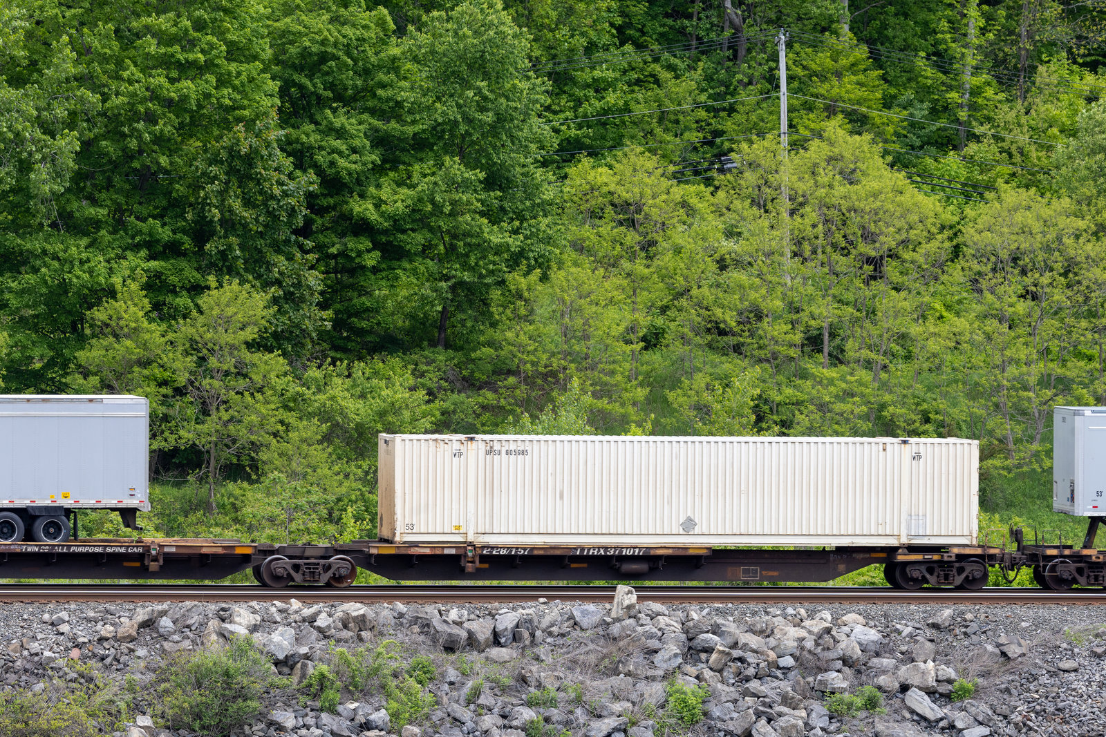 TTRX 371017A