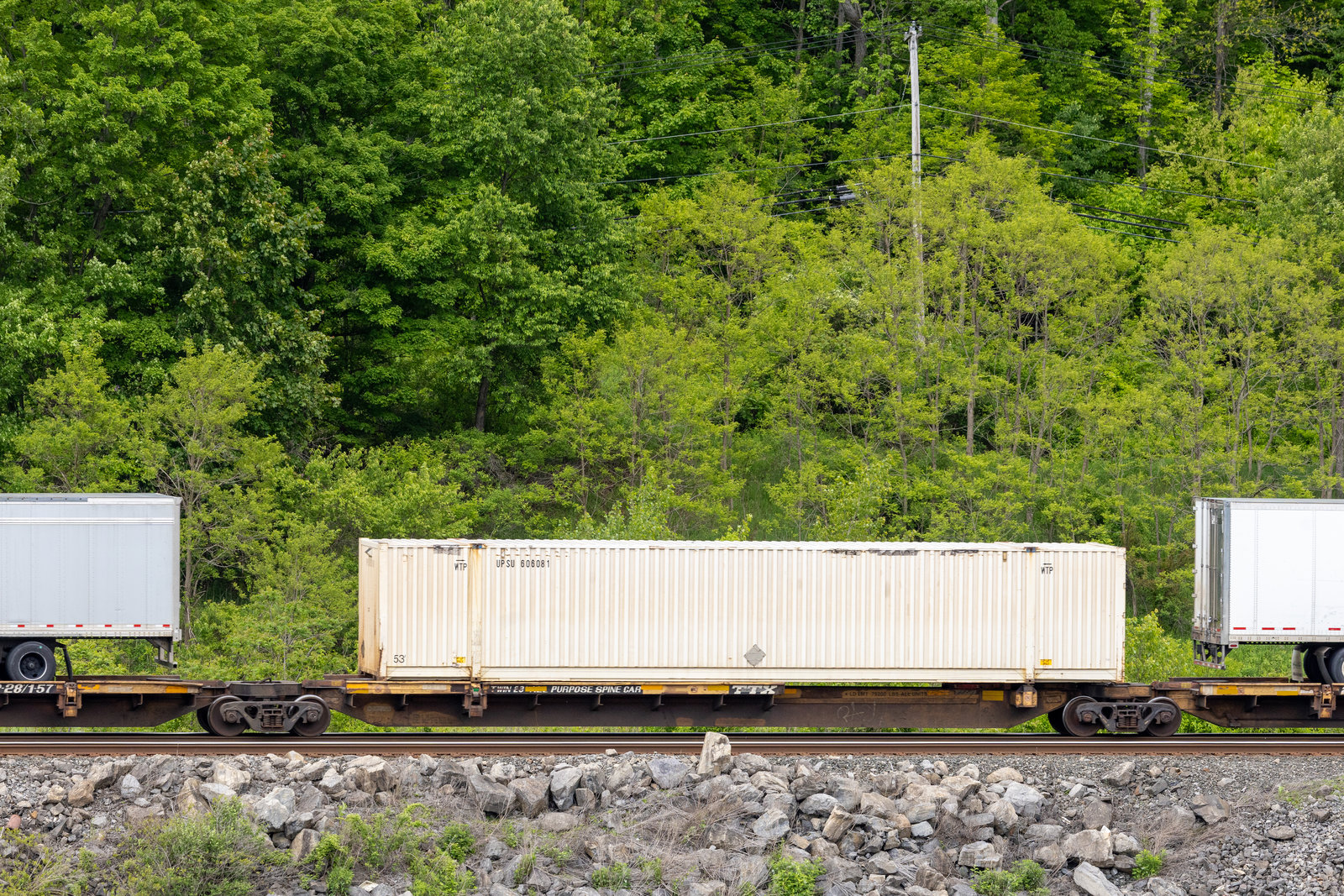 TTRX 371081C