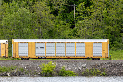 TTGX 823637