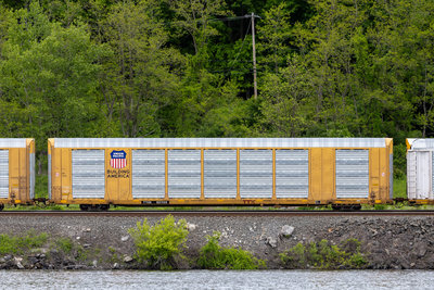 TTGX 821135