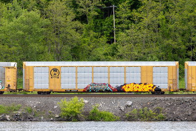 TTGX 822509