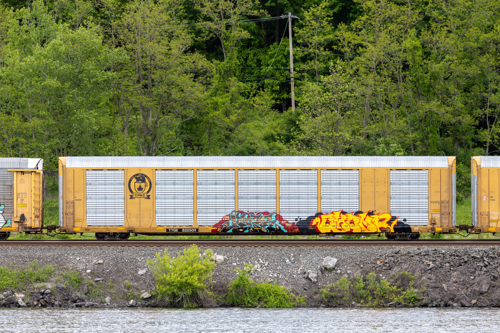 TTGX 822509