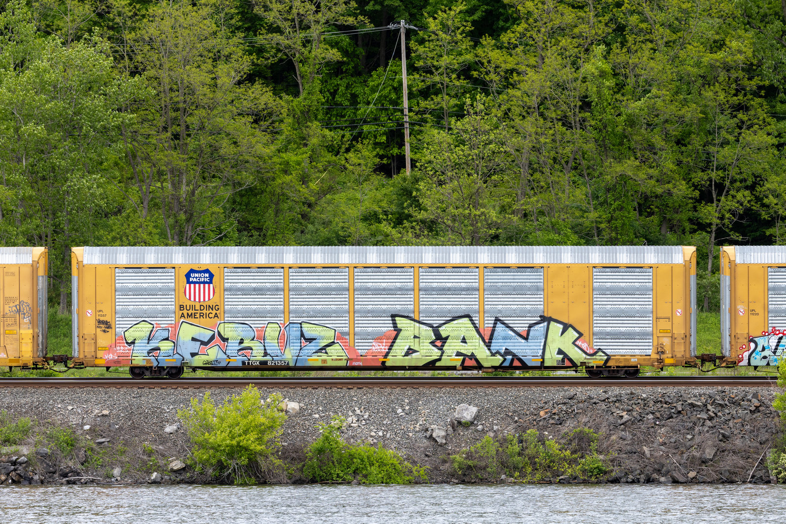 TTGX 821357