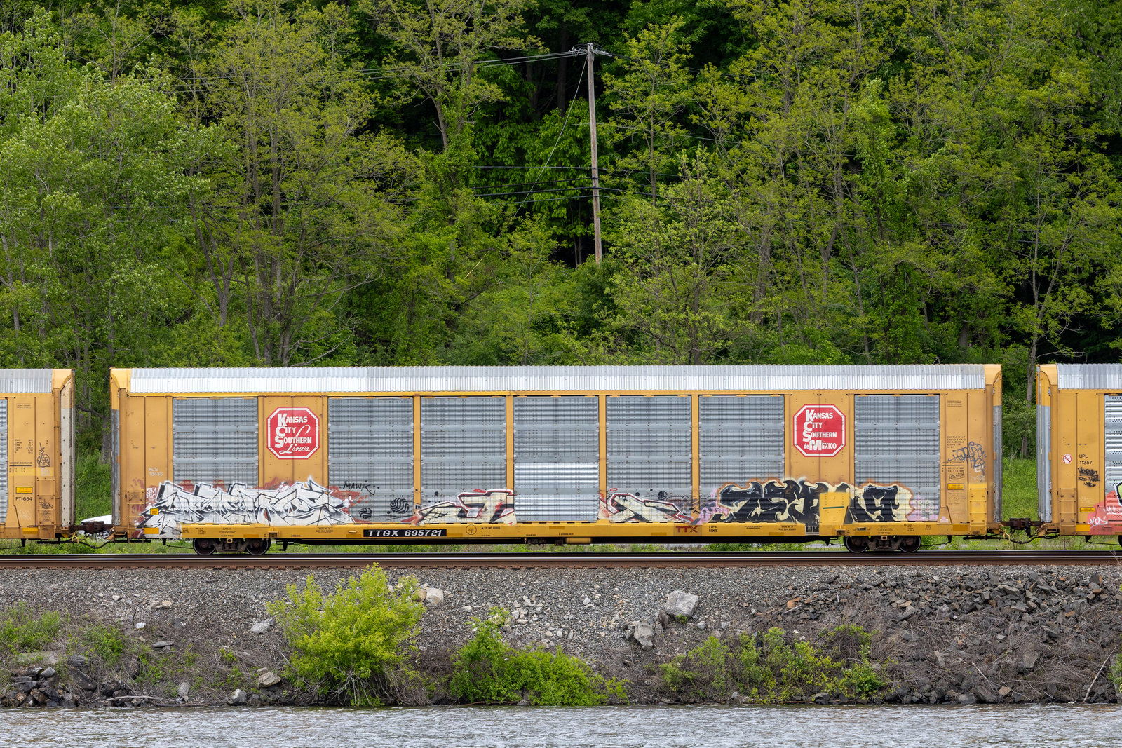 TTGX 695721