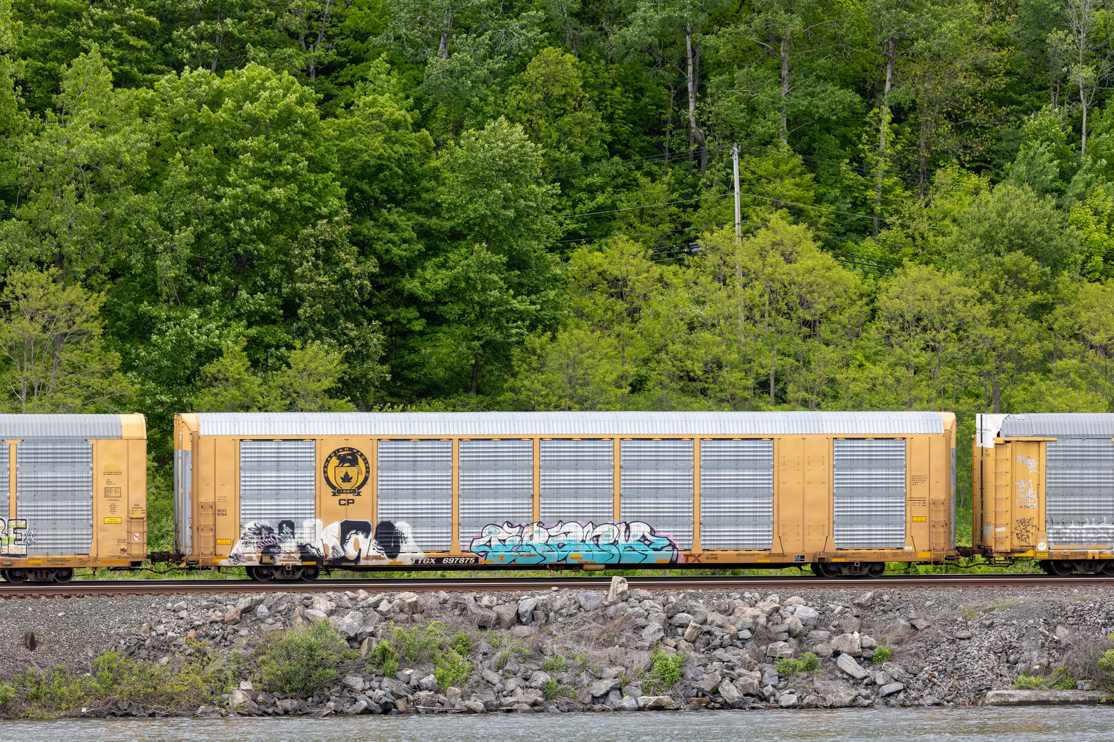 TTGX 697875