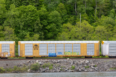 TTGX 822358