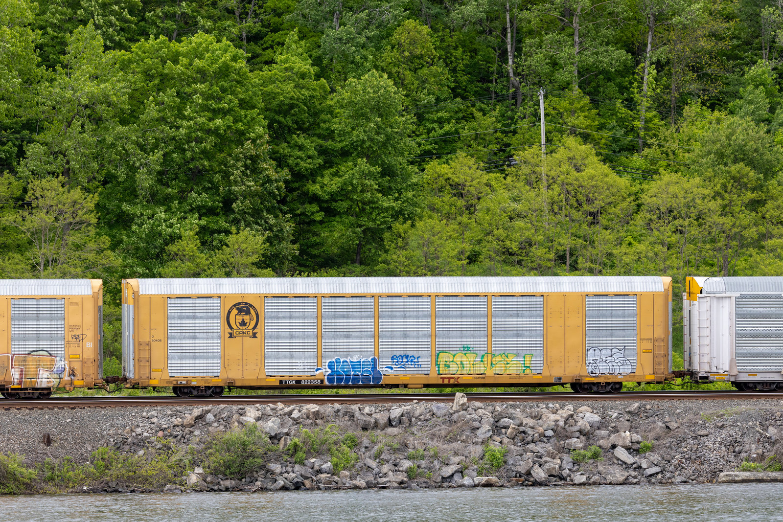 TTGX 822358