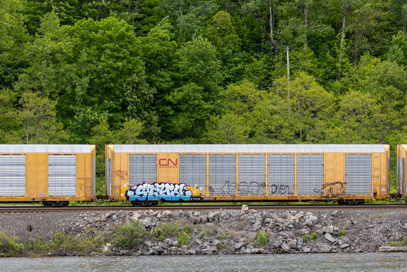 TTGX 695901