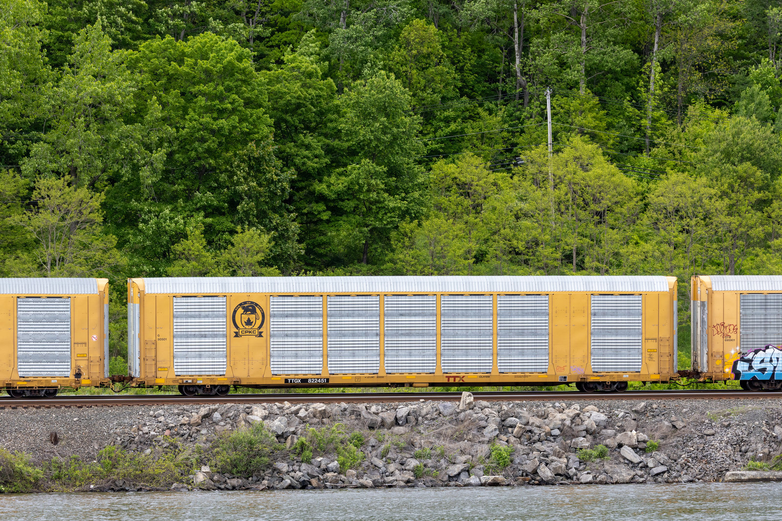 TTGX 822451