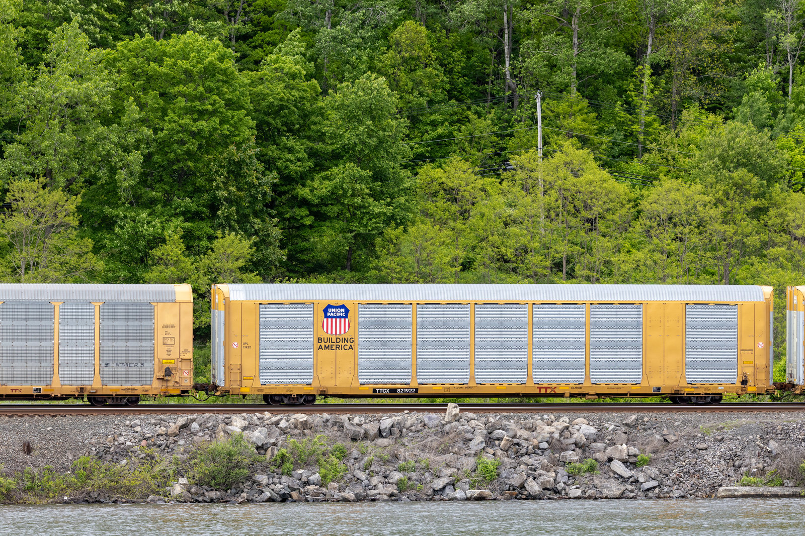 TTGX 821922