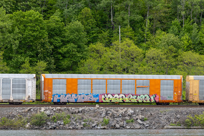 TTGX 693383