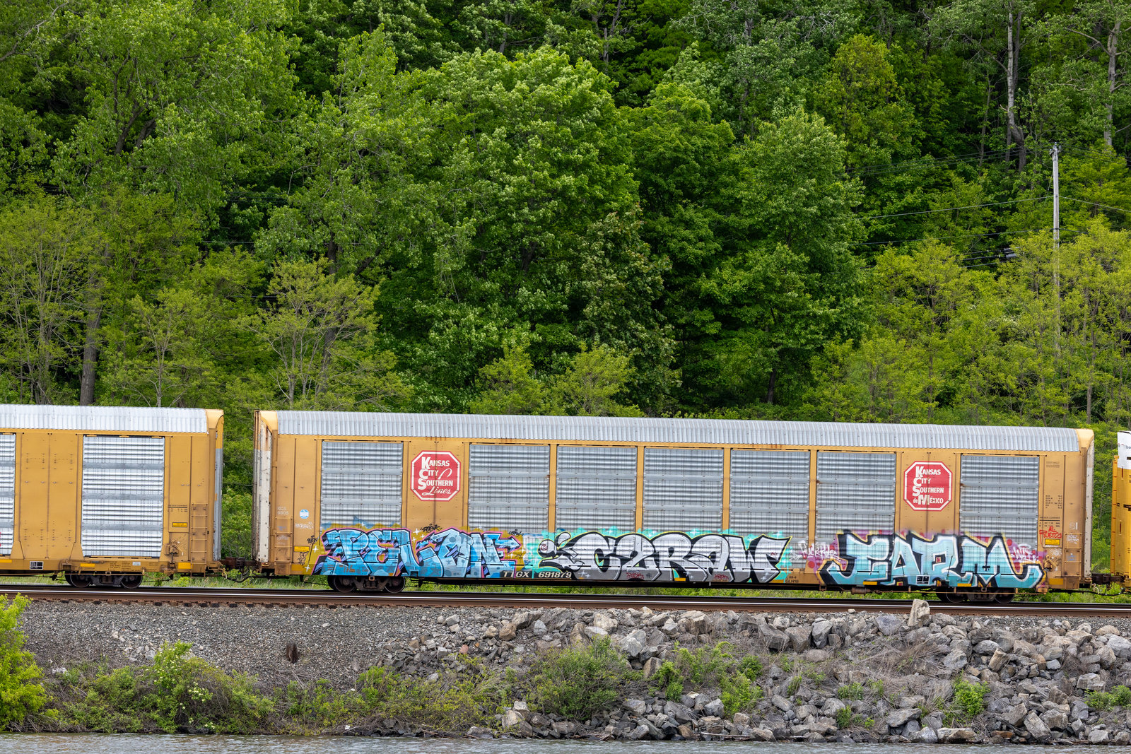 TTGX 691879