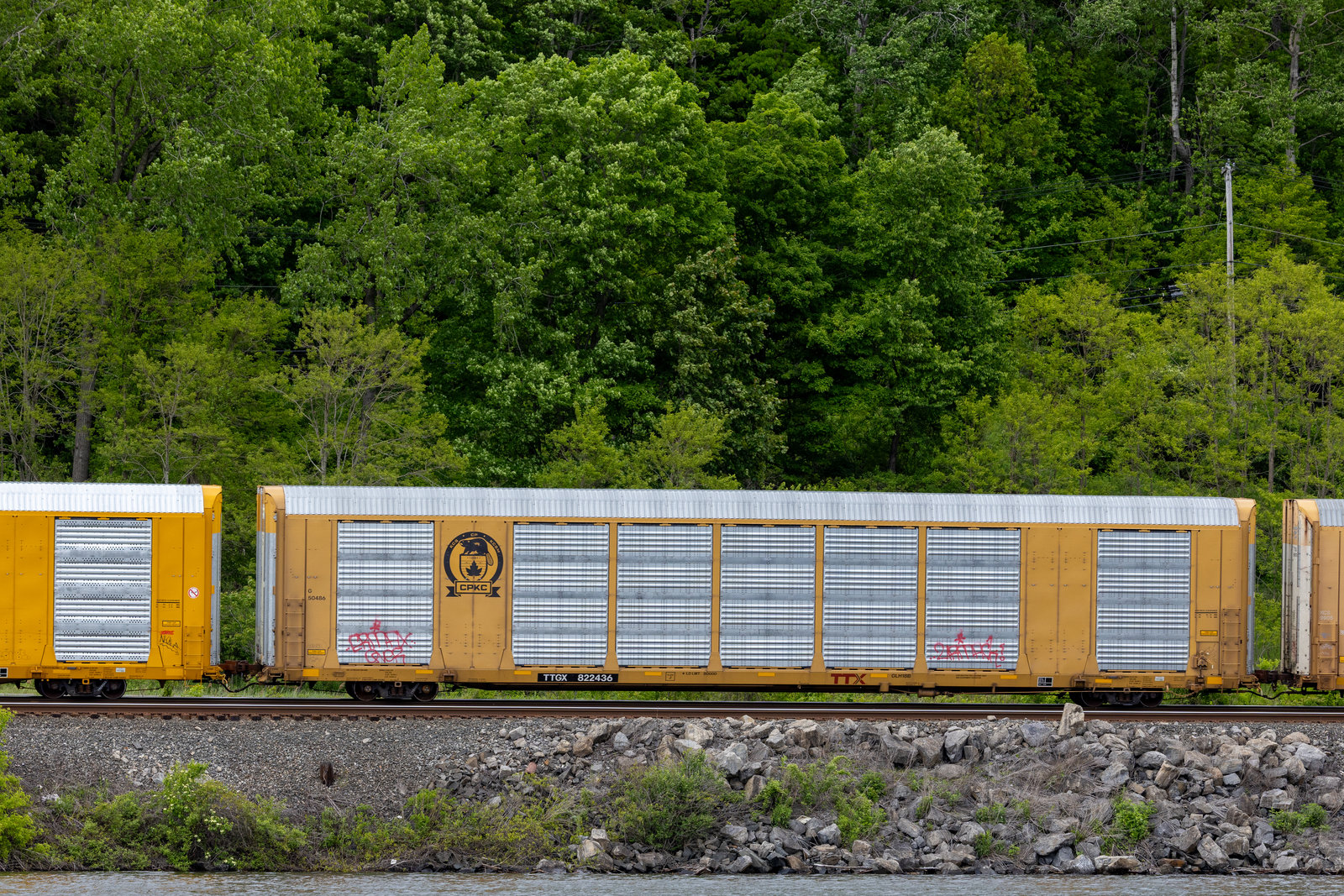 TTGX 822436