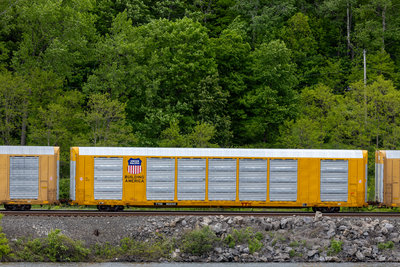 TTGX 823341