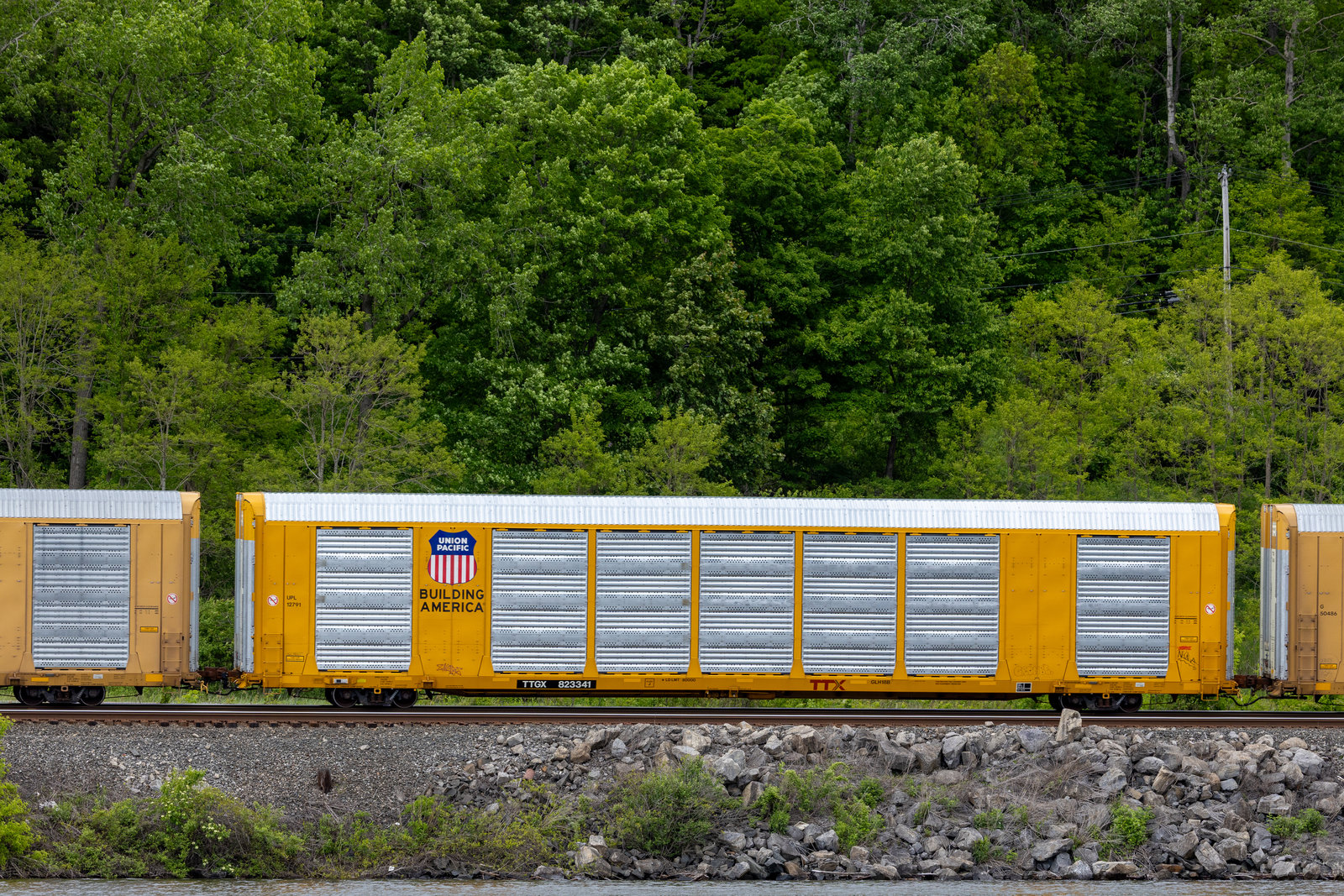 TTGX 823341