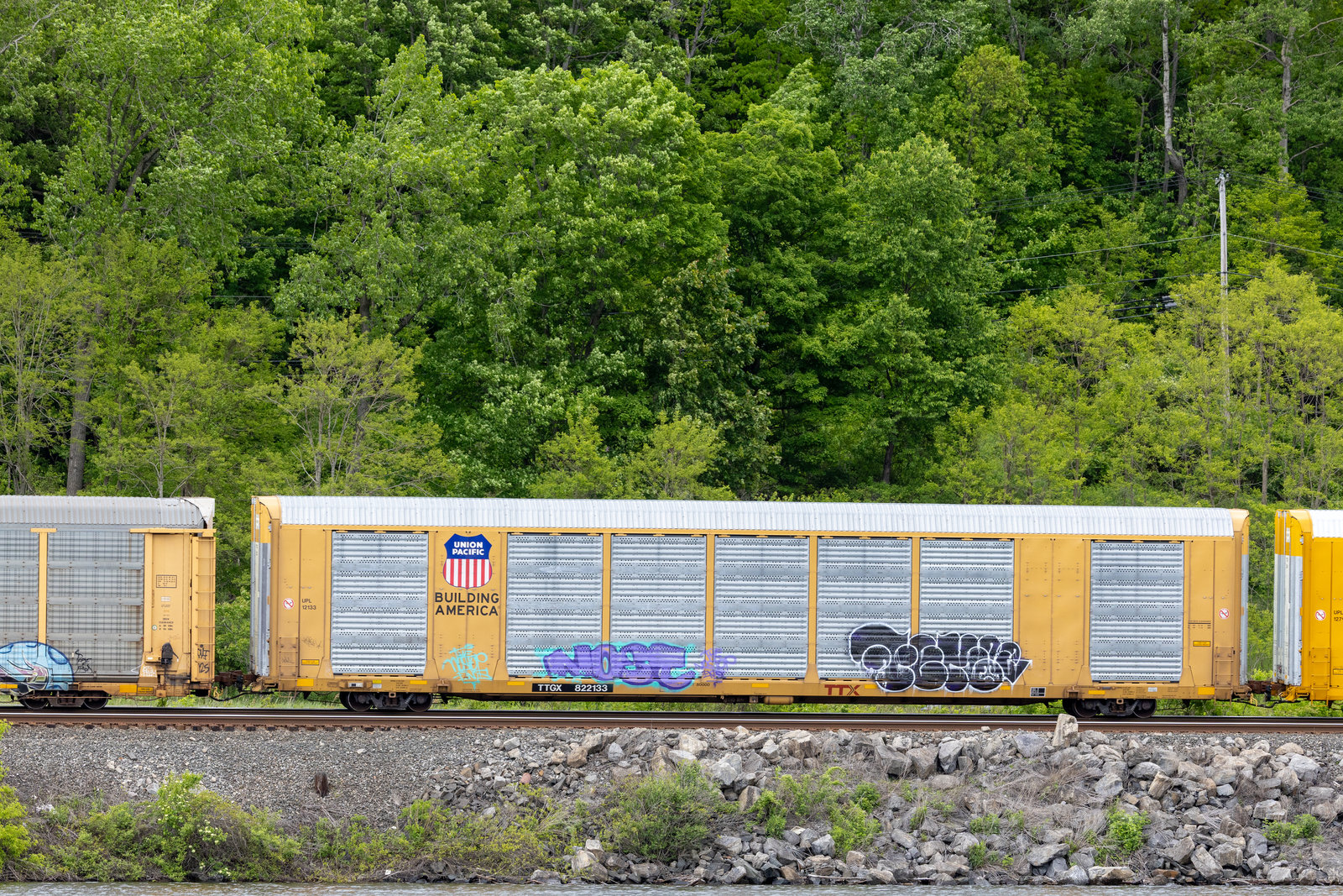TTGX 822133