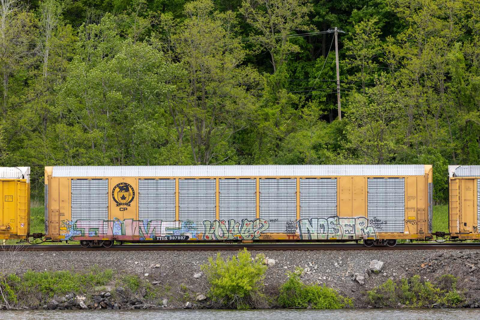 TTGX 697897