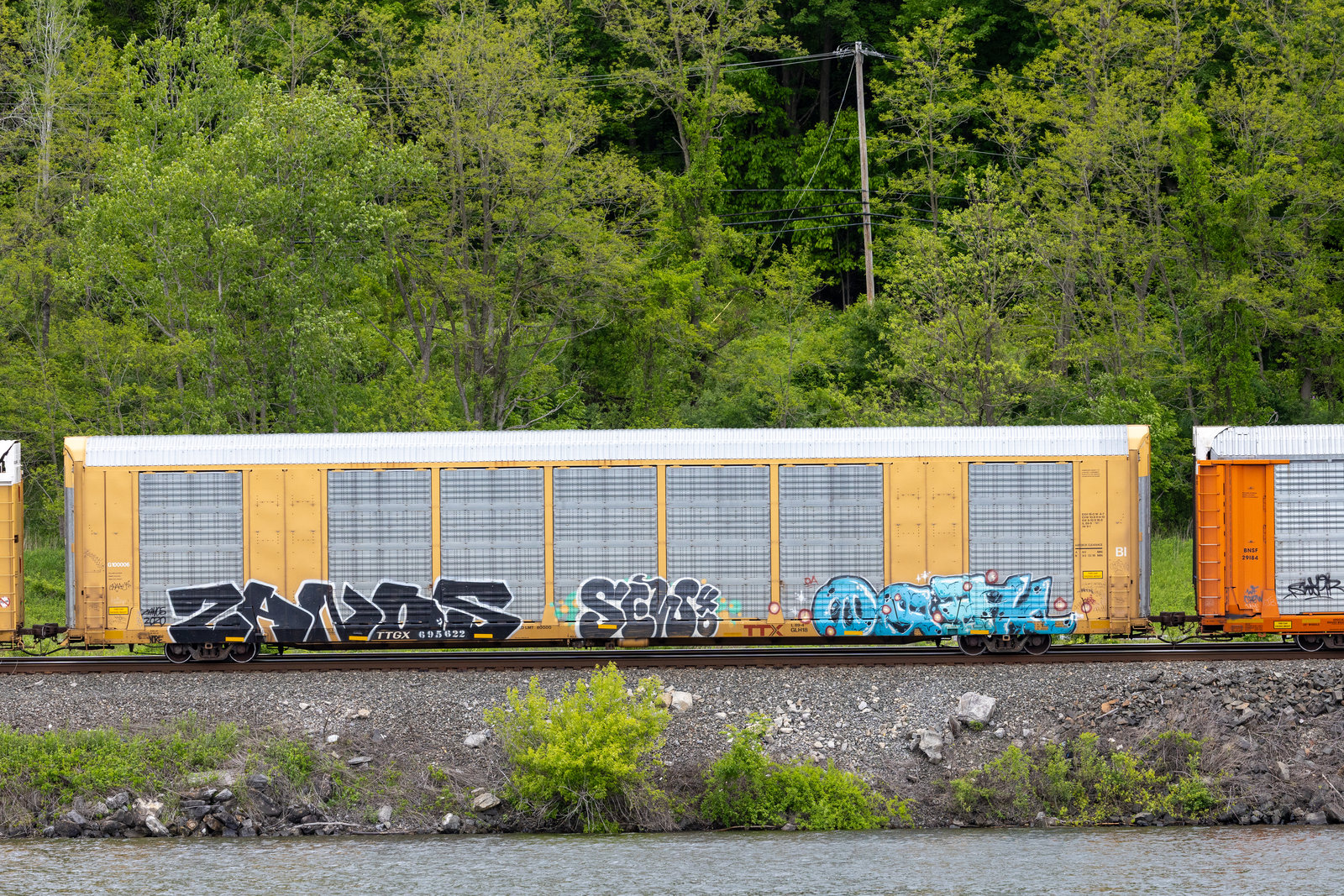 TTGX 695622