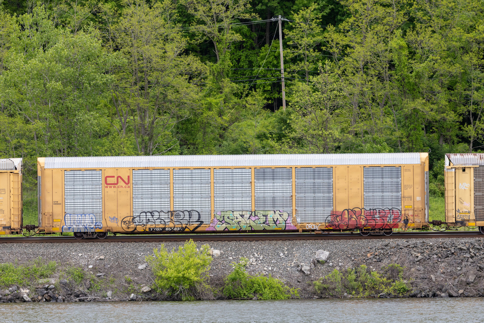 TTGX 695833