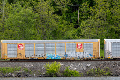 TTGX 691190