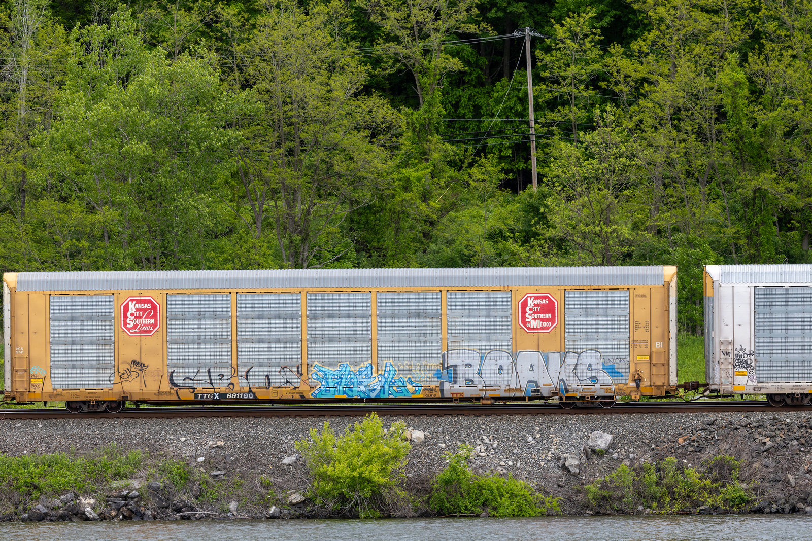 TTGX 691190