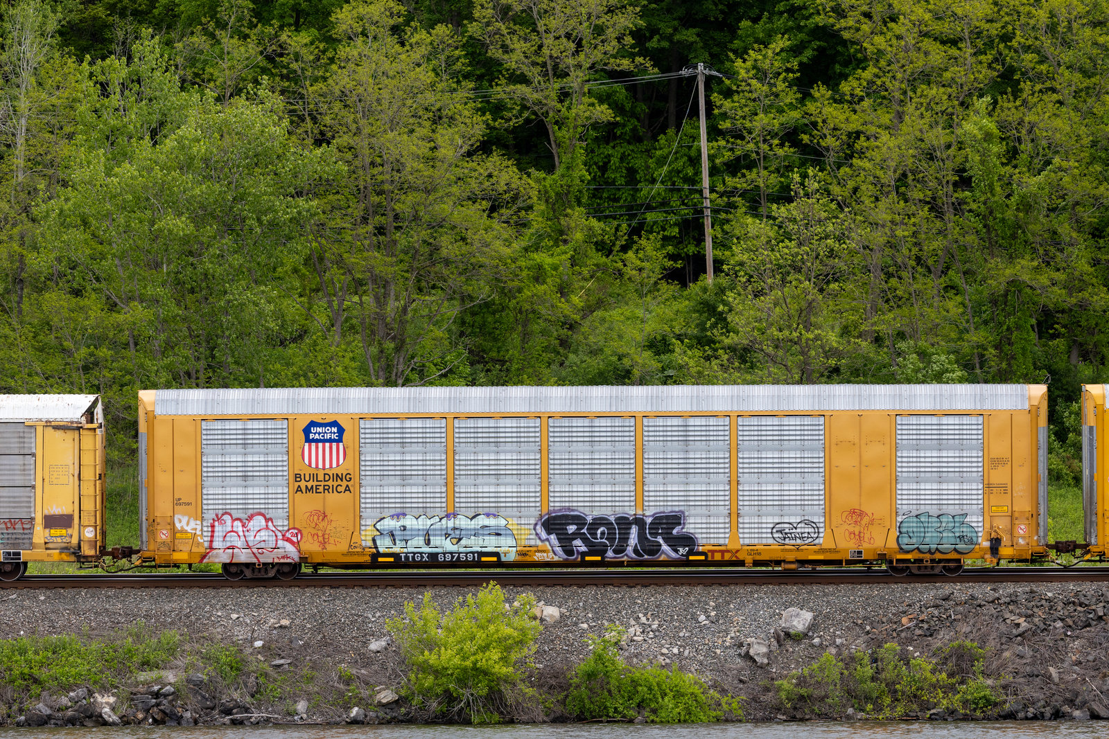 TTGX 697591