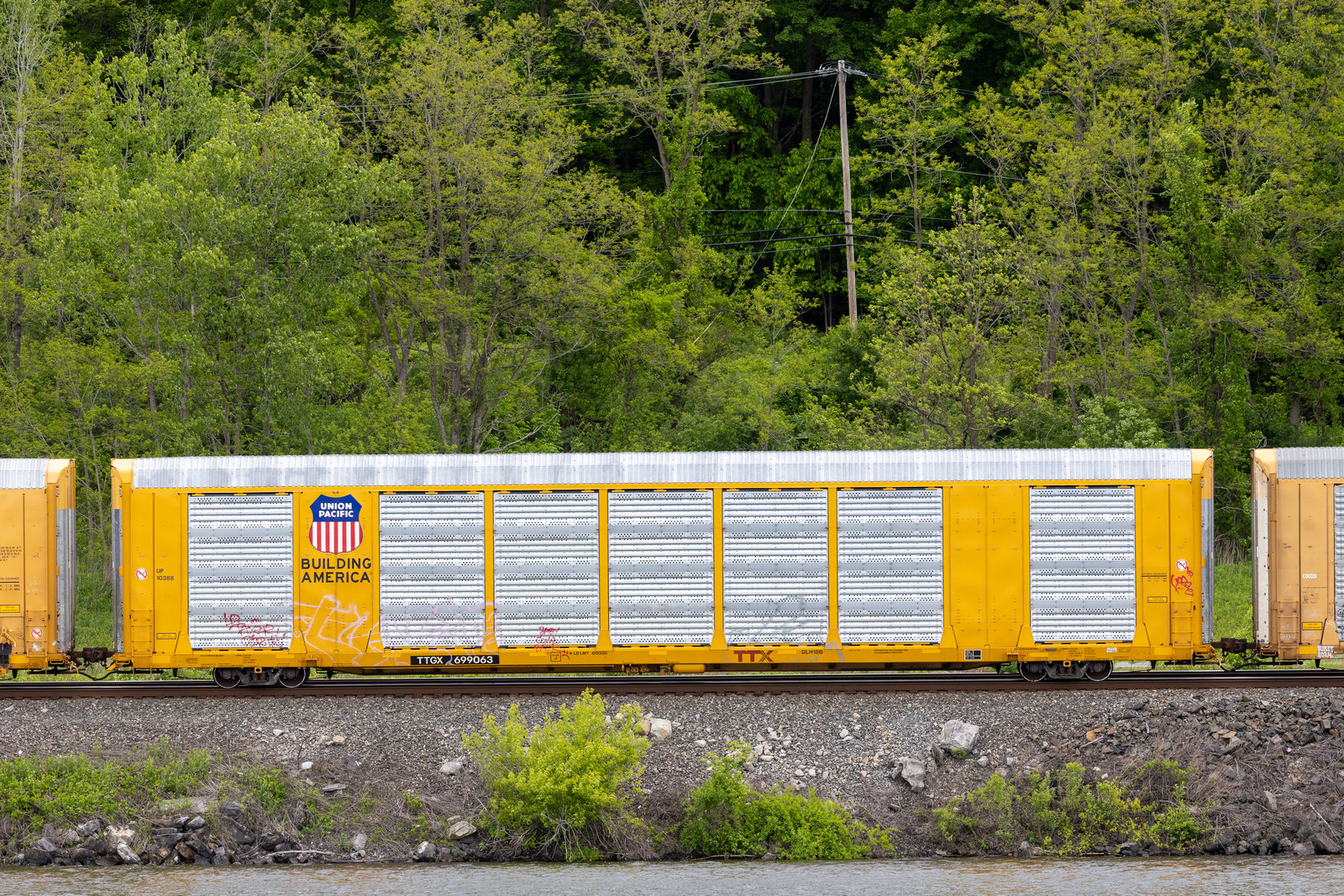 TTGX 699063