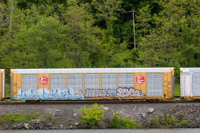 TTGX 696579