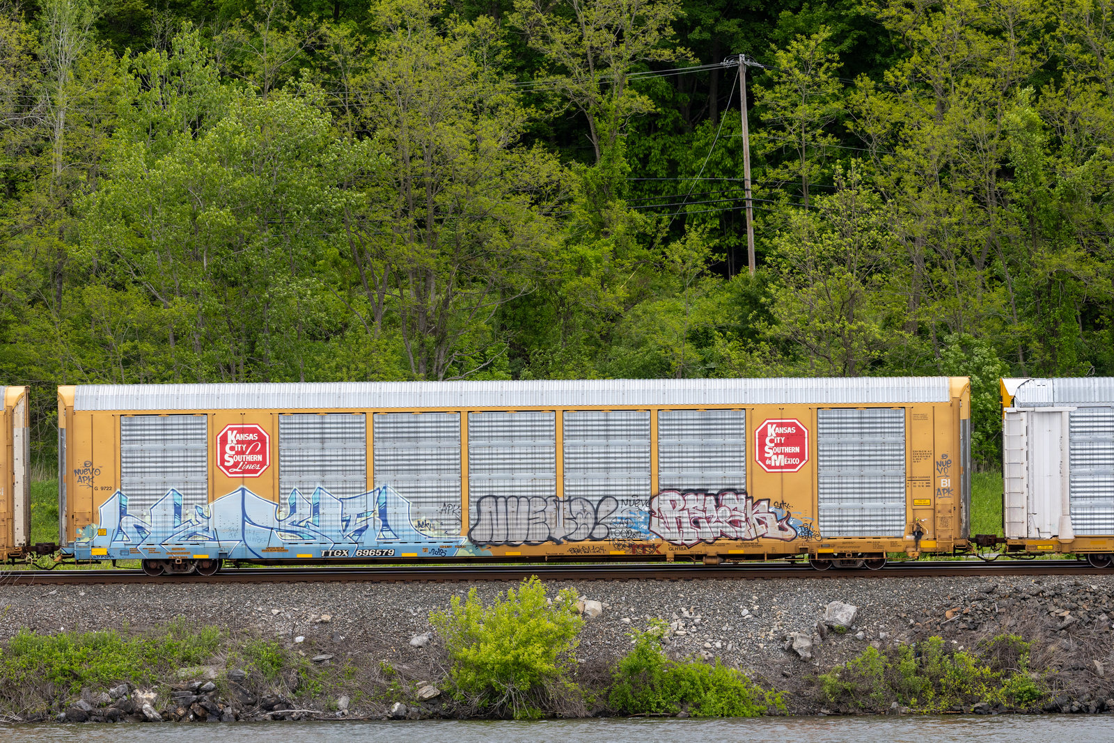 TTGX 696579
