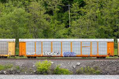 TTGX 952758