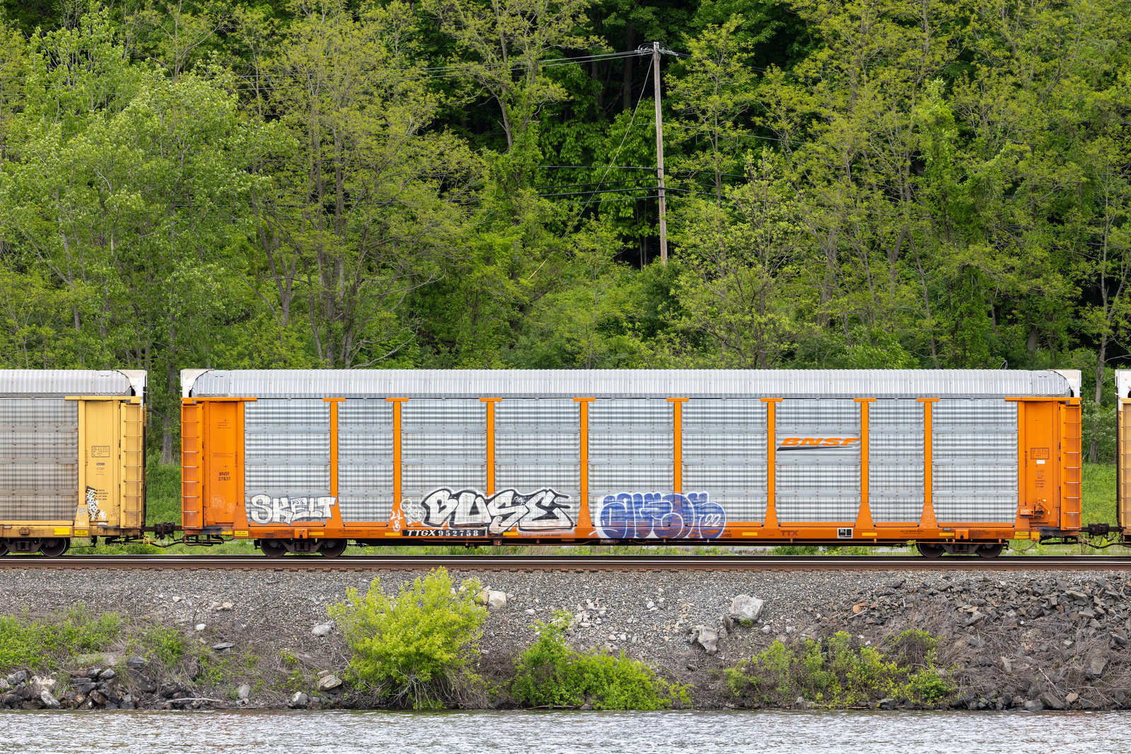 TTGX 952758