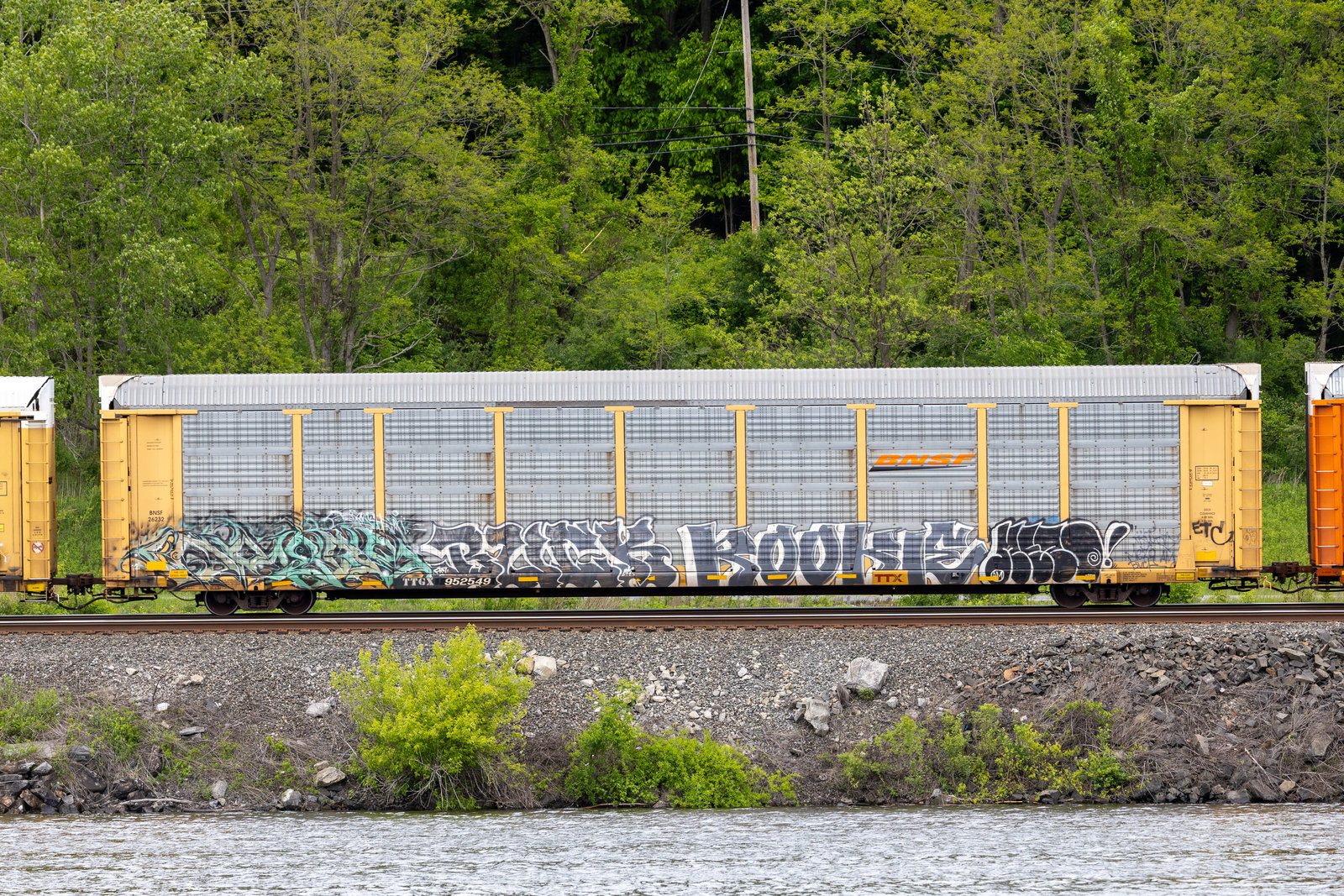 TTGX 952549