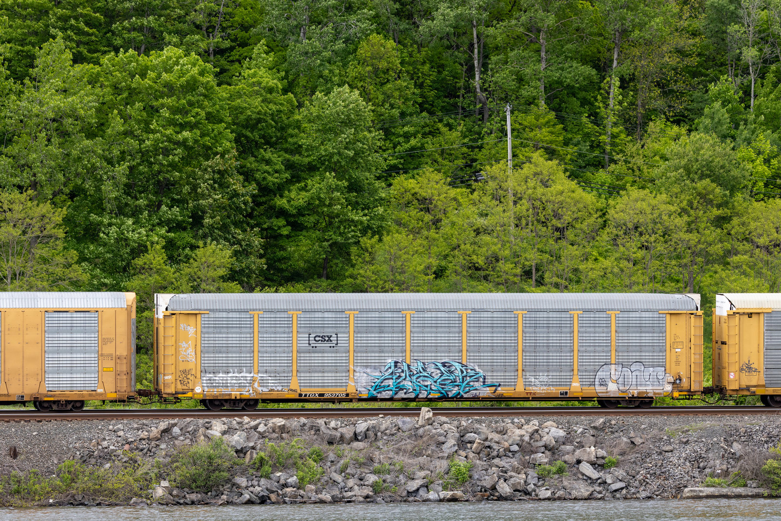 TTGX 953705