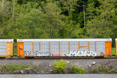TTGX 953230