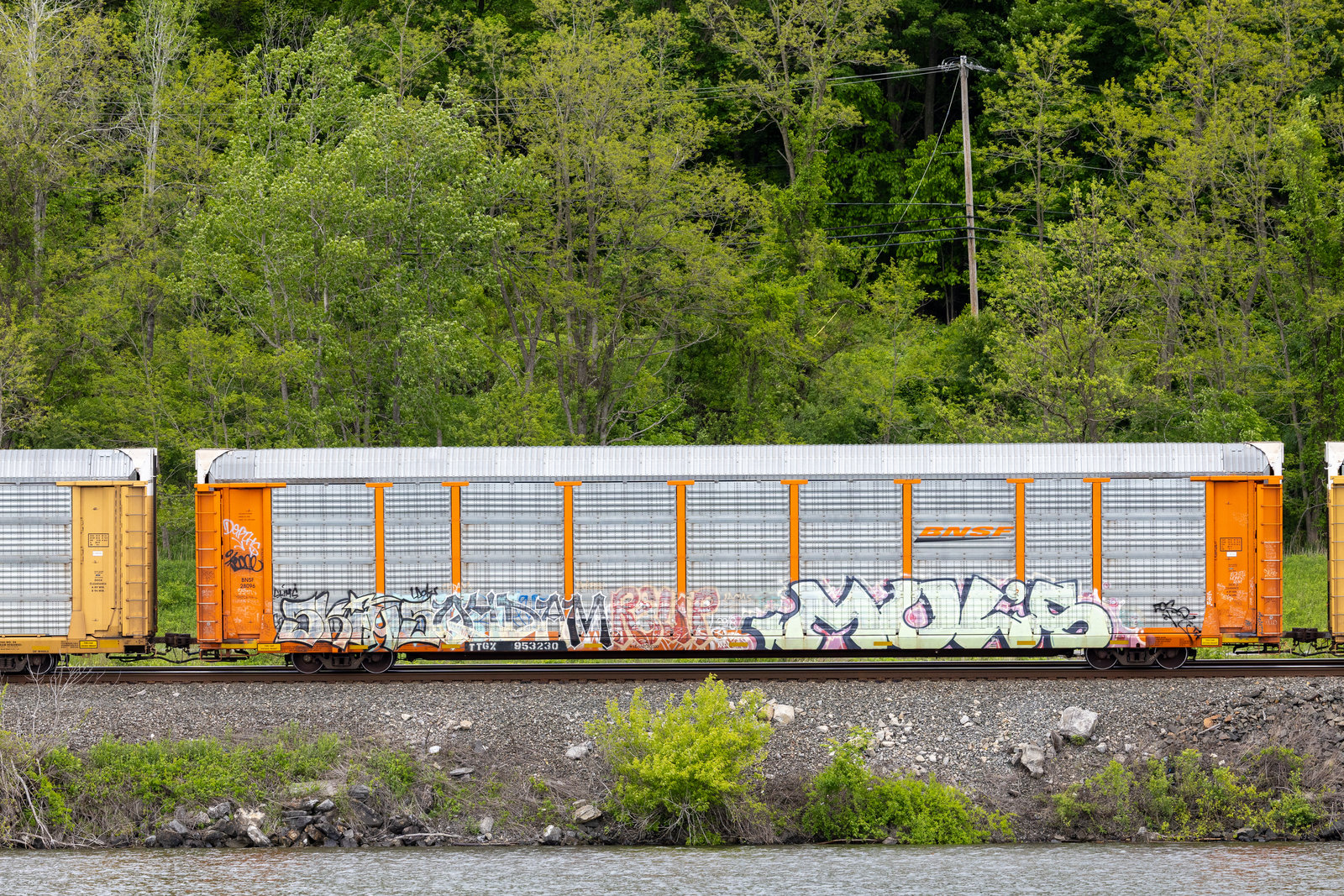 TTGX 953230