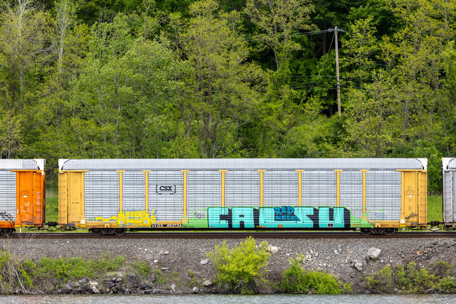 TTGX 953734