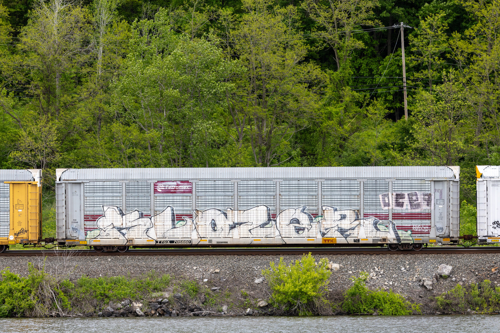 TTGX 705660