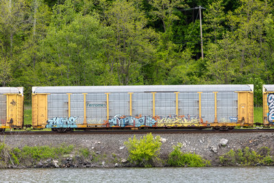 TTGX 982238