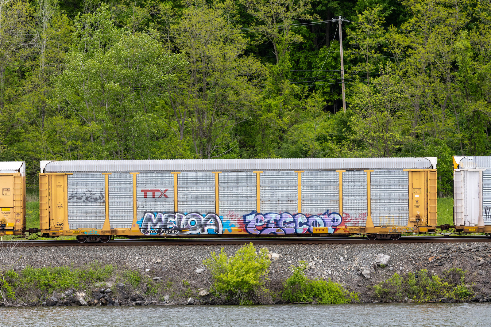TTGX 710767