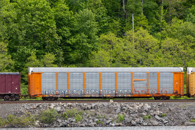 TTGX 254591
