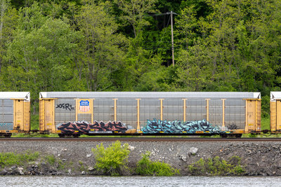TTGX 986492