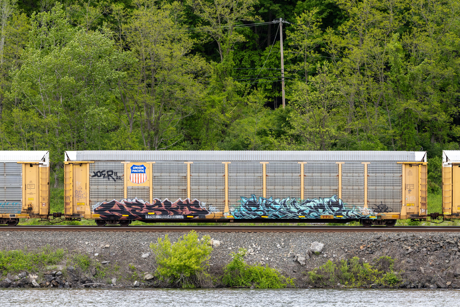TTGX 986492