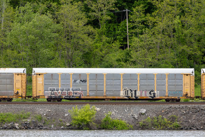 TTGX 971935
