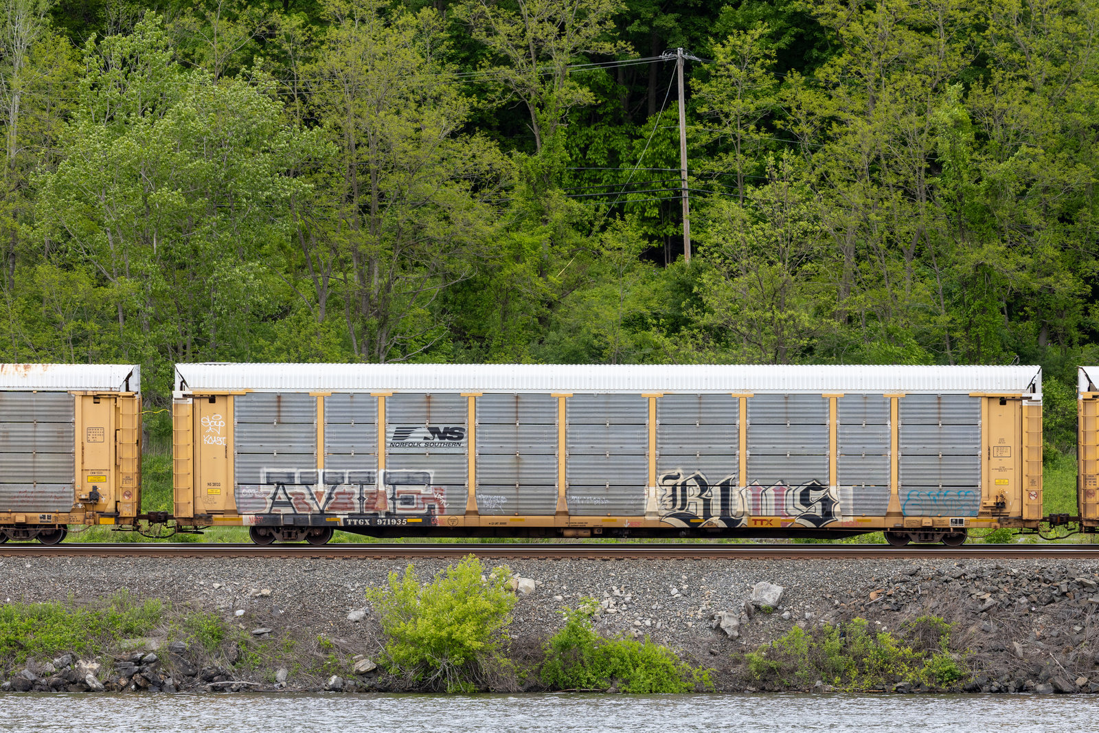 TTGX 971935