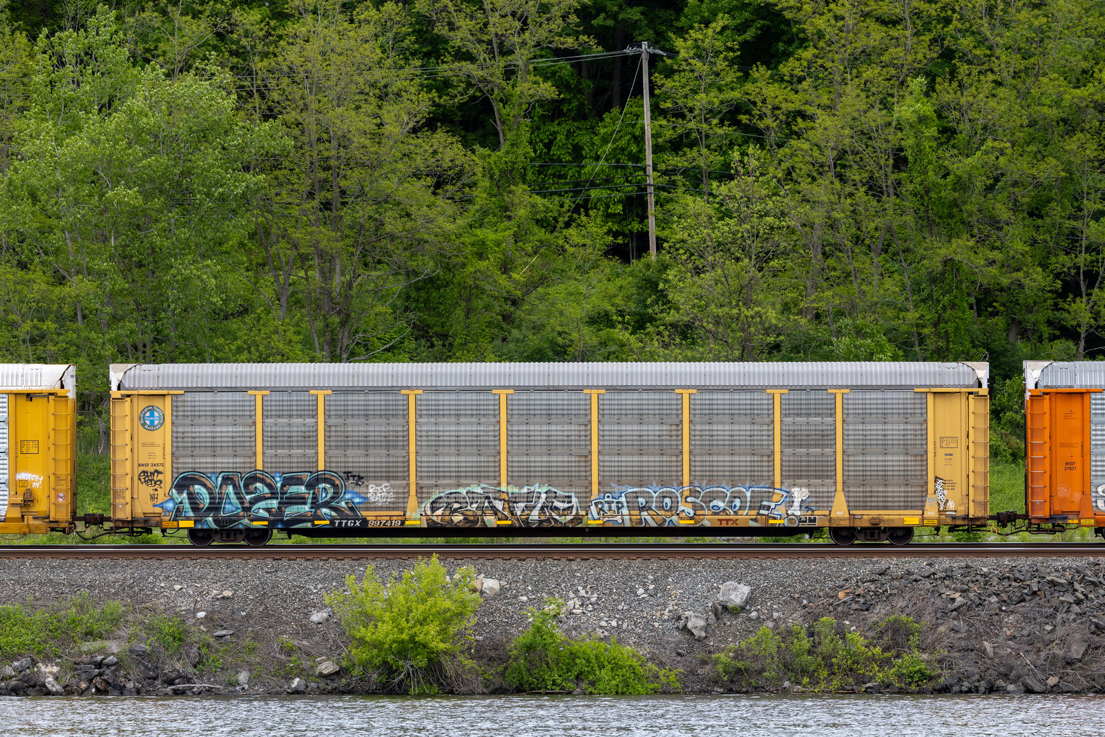 TTGX 997419