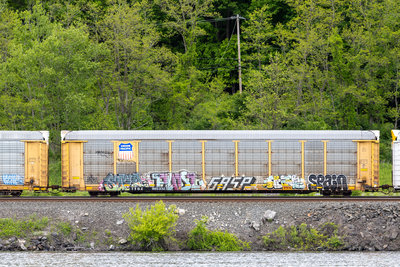 TTGX 985332