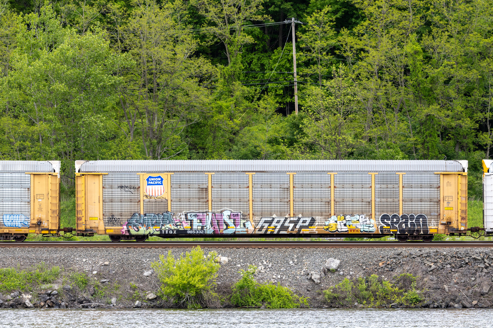 TTGX 985332